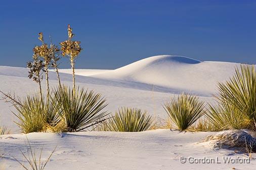White Sands_32203.jpg - Photographed at the White Sands National Monument near Alamogordo, New Mexico, USA.